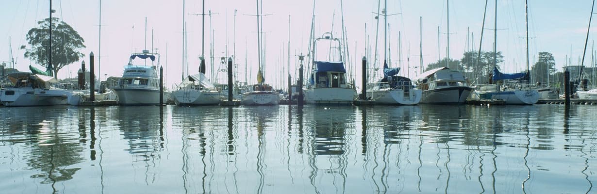 1230x400 sf05 video and film editing production in the San Francisco | San Jose , palo alto area is about flexibility, quality, clarity and excellence